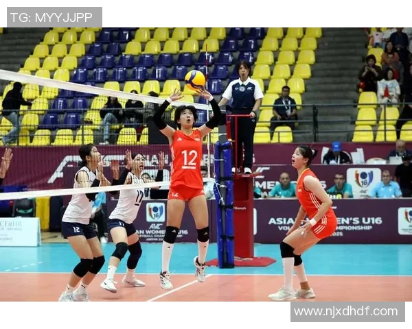 排球热点：解读南京排球队的运营